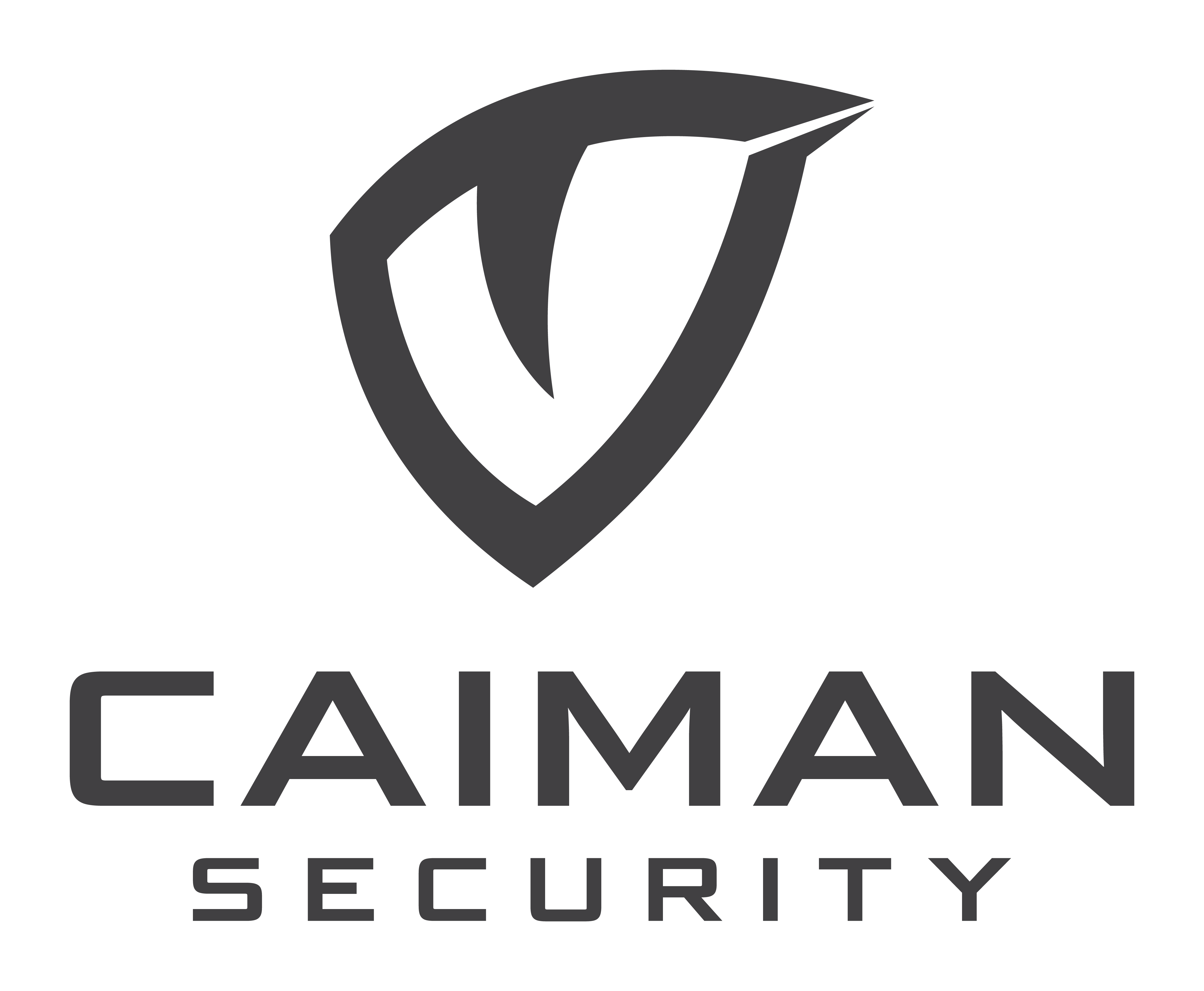 Caiman-Security-04